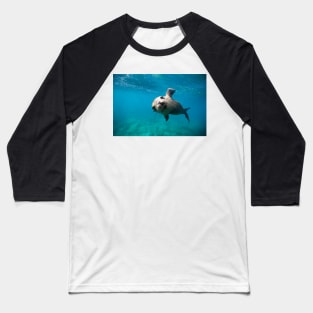 California sea lion pup (C023/1463) Baseball T-Shirt